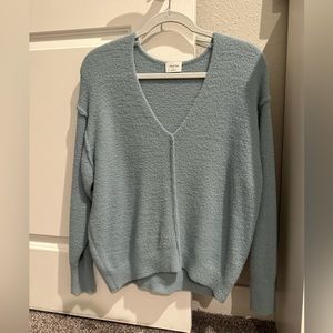 Aritzia V-Neck Sweater